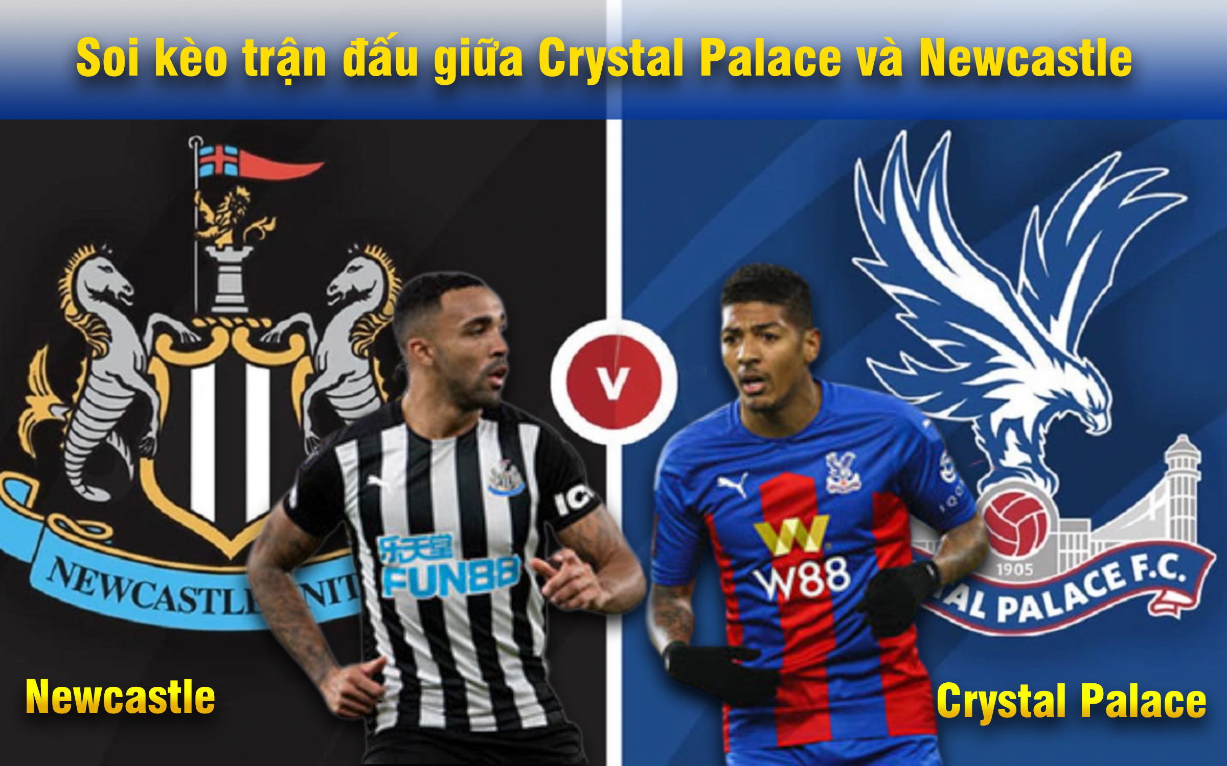 Soi kèo trận đấu giữa Crystal Palace và Newcastle 01