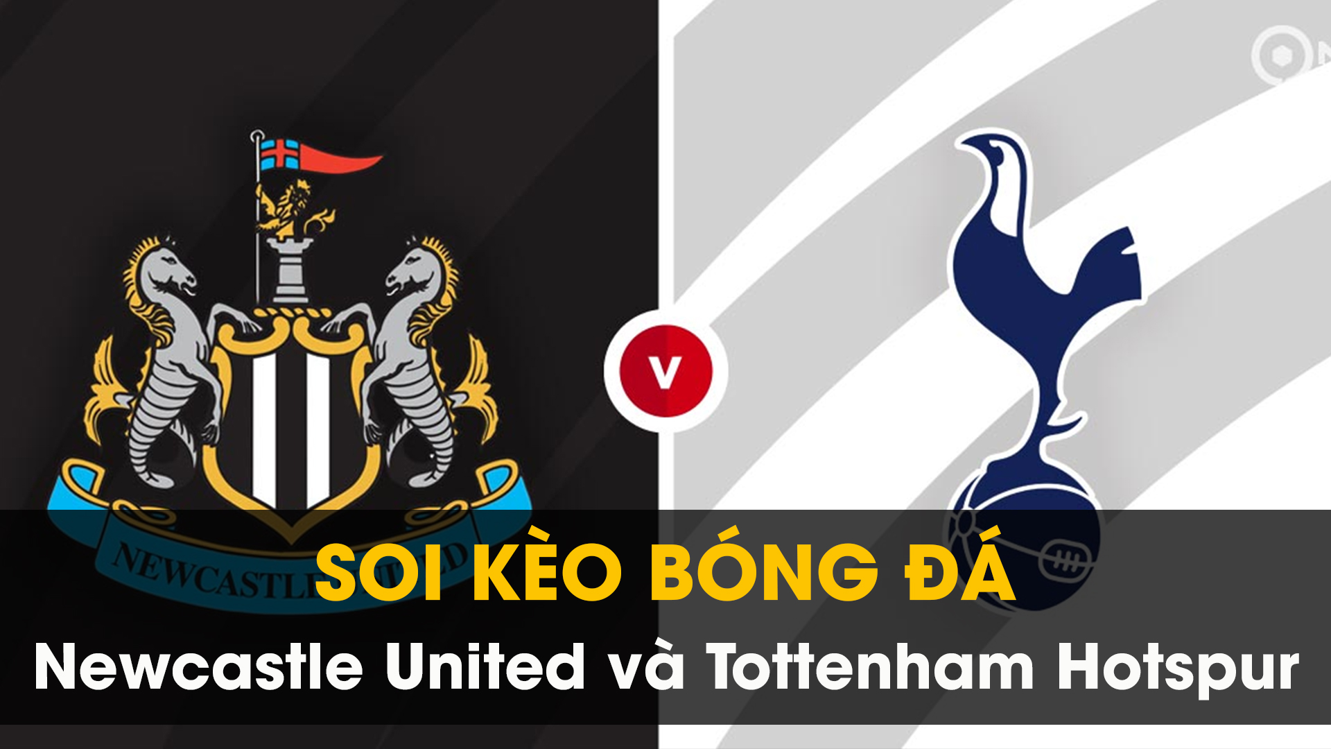 Soi kèo bóng đá giữa Newcastle United và Tottenham Hotspur 01